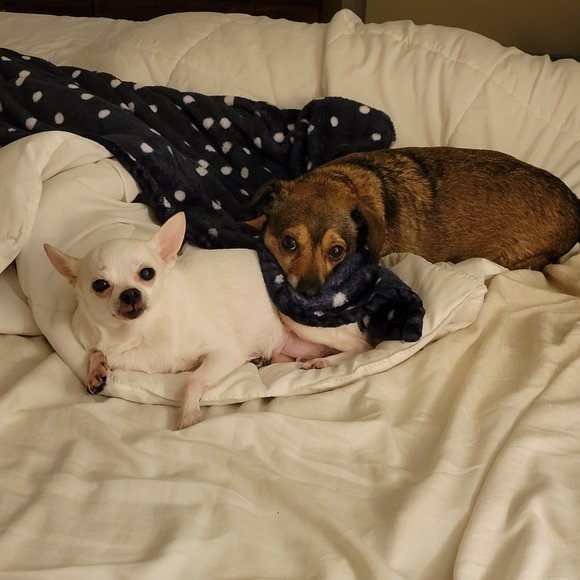 Meet your Posher, Pamela 🩷🥞 - Picture 4 of 13